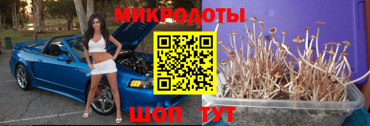 Псилоцибиновые грибы Magic Shrooms Рубцовск