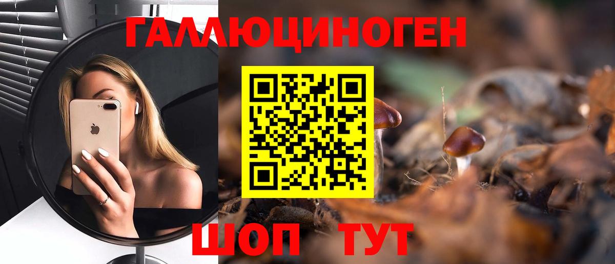 наркошоп  Вход с VPN  Рубцовск  Псилоцибиновые грибы Psilocybine cubensis 