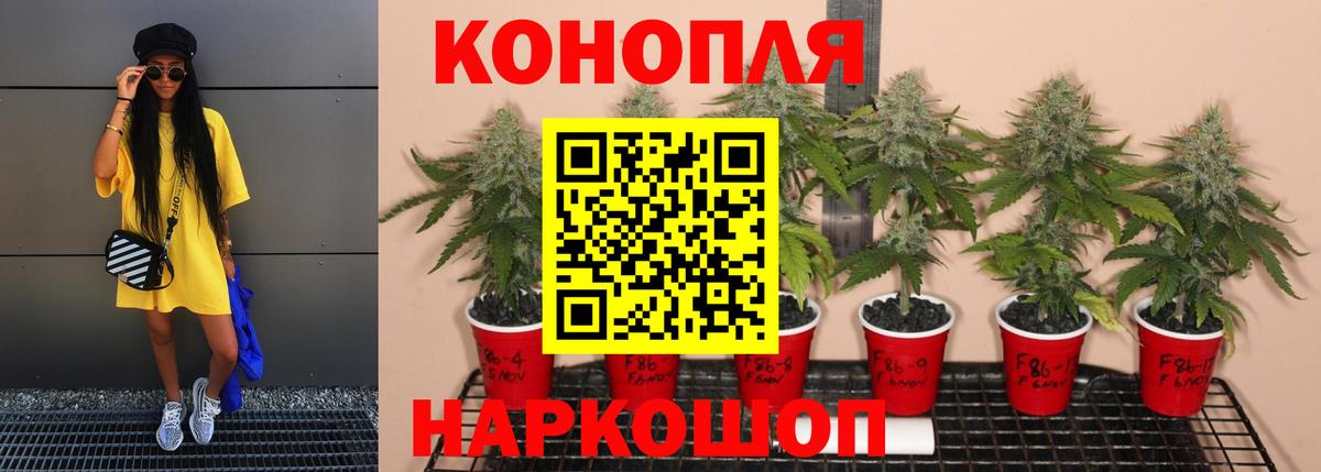 Канабис VHQ  МАРИХУАНА индика  Канабис тримм  Вход с VPN  Рубцовск 